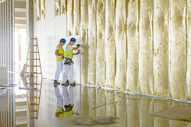 Best Commercial Insulation in Romancoke, MD